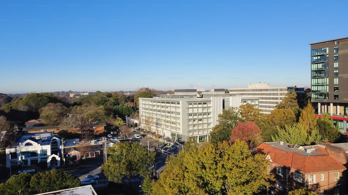 Study in New Zealand